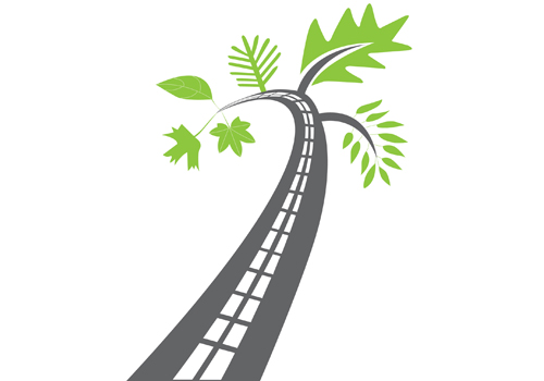 Environmentally responsible management