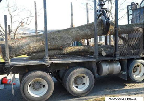 Local salvaging