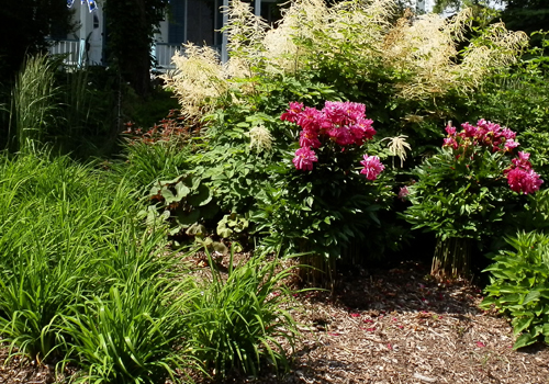 Bio-ecological recovery